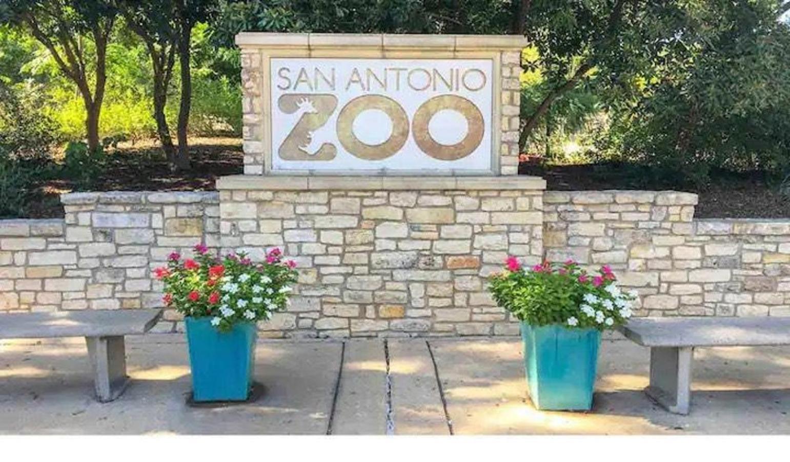 Private Hot Tub3Bd2Ba 2 Miles To Sa River Walk 圣安东尼奥 外观 照片